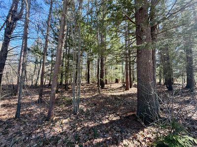 Lot 141516 York Street, Kennebunk, ME, 04043