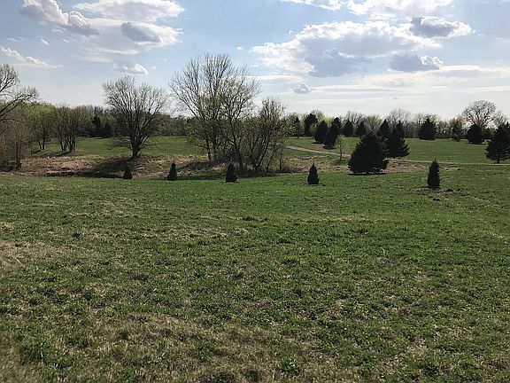 Trees line property line