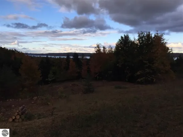 Bingham Ridge Dr, Traverse City, MI 49684