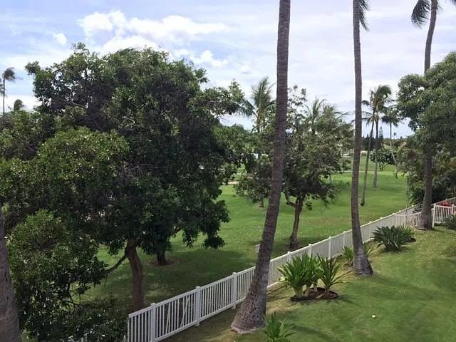 Aliinui Dr — Photo 16