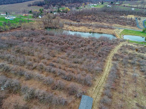 Pond on the Property