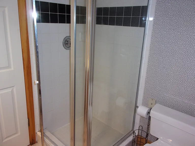 Primary Shower