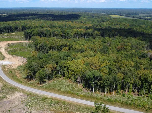 0 Robinson Levee Rd Lot 1, Mc Kenzie, TN 38201