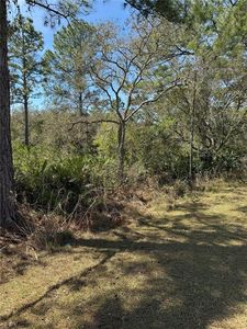 30700 Kumquat Ave #3, Eustis, FL, 32736