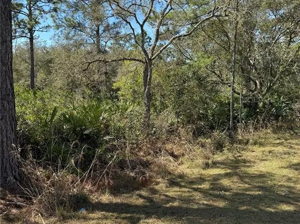 30700 Kumquat Ave #3, Eustis, FL 32736