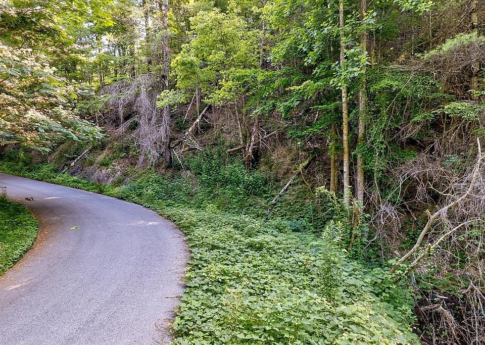 1st image of 7 Willow Ln Lot 7