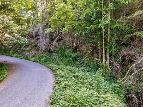 7 Willow Ln Lot 7, Sevierville, TN 37862