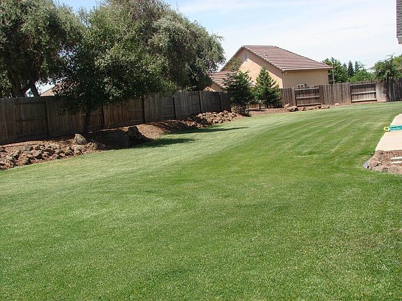 Park-like back yard