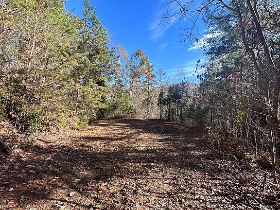 2nd image of LOT 1 Sawyer Cove Hideaway