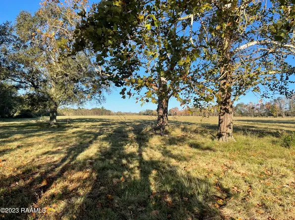 1532 Perron Rd, Ville Platte, LA 70586