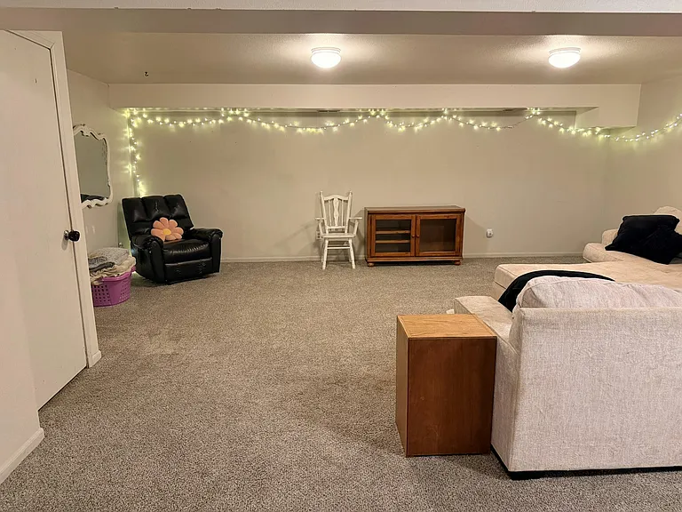Basement living room