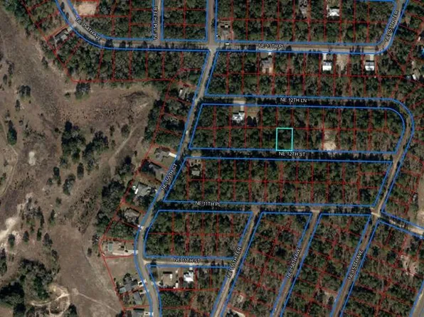 Lot 19 NE 12TH STREET LOT 19, WILLISTON, FL 32696