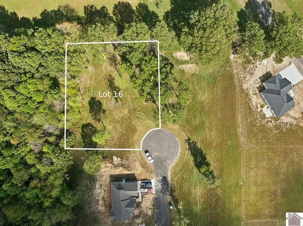 16 Ellie Ct, Mayfield, KY 42066