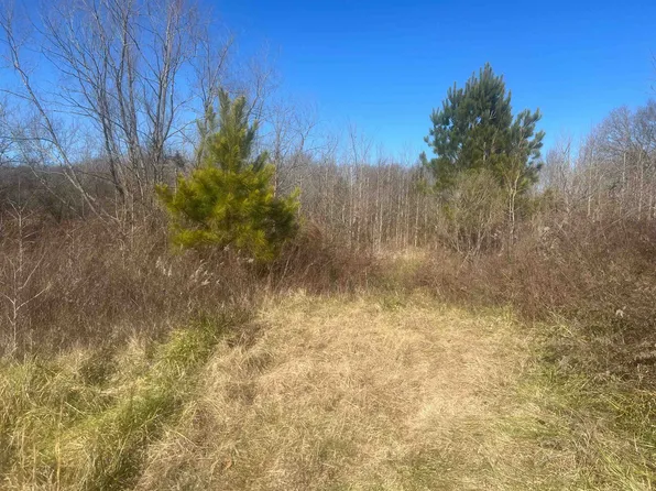 6255 Lagrange Rd, Leighton, AL 35646