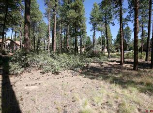 55 Big Bend Ct, Durango, CO 81301