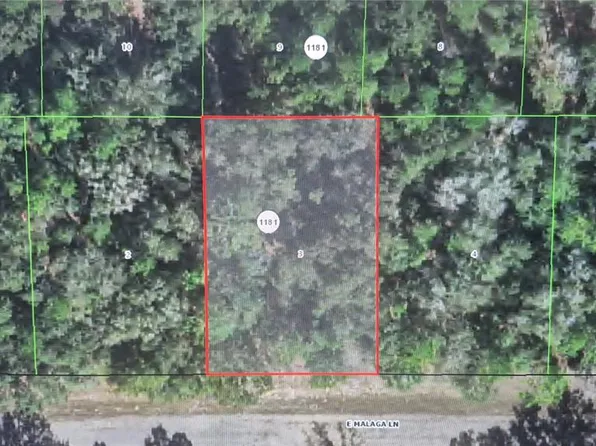 593 E Malaga Ln Lot 3, Dunnellon, FL 34434