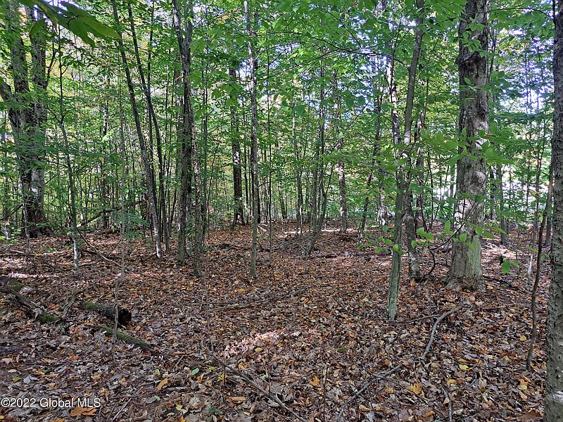 4th image of L46 Priest Road
