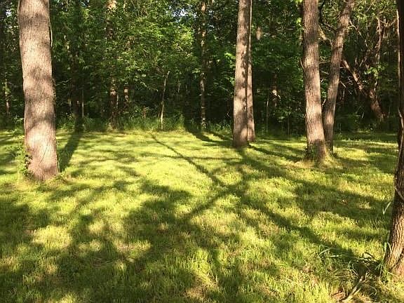 5th image of 10351 W Farm Road 76