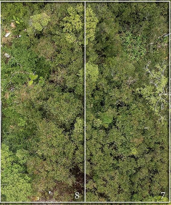 2nd image of Kauai St Lot 9