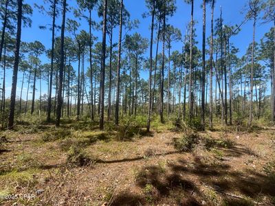 0 Wildrose Ln, Chipley, FL, 32428