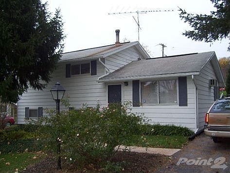 canary and clubhouse 005