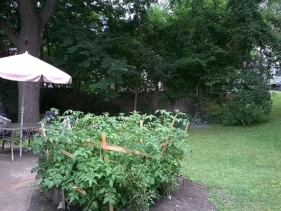 2nd image of 608 De Kalb Ave