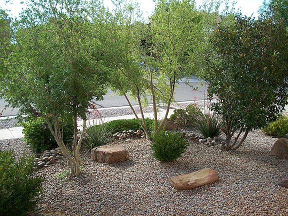 Front Landscaping