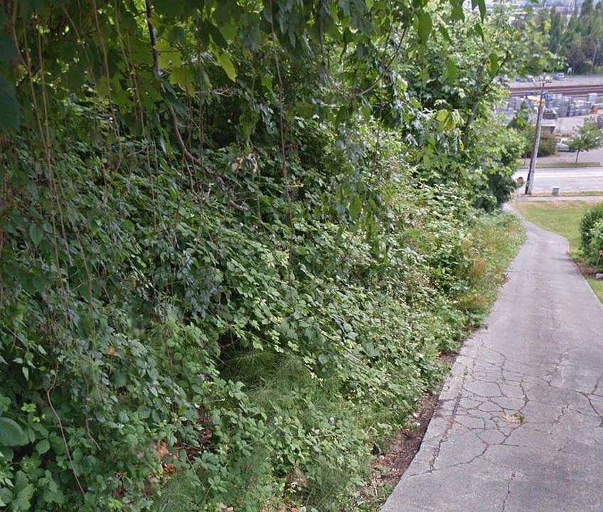2nd image of 2315 Harbor Ave SW