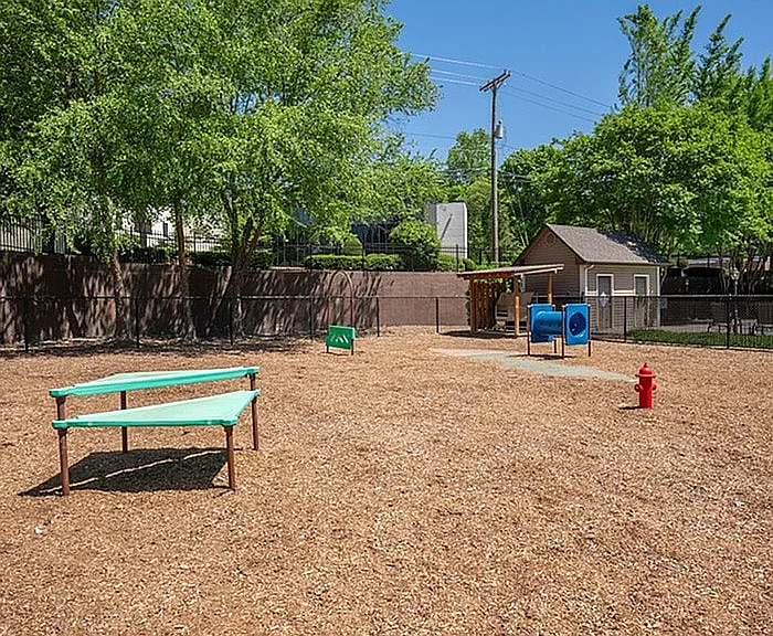 Bark Park