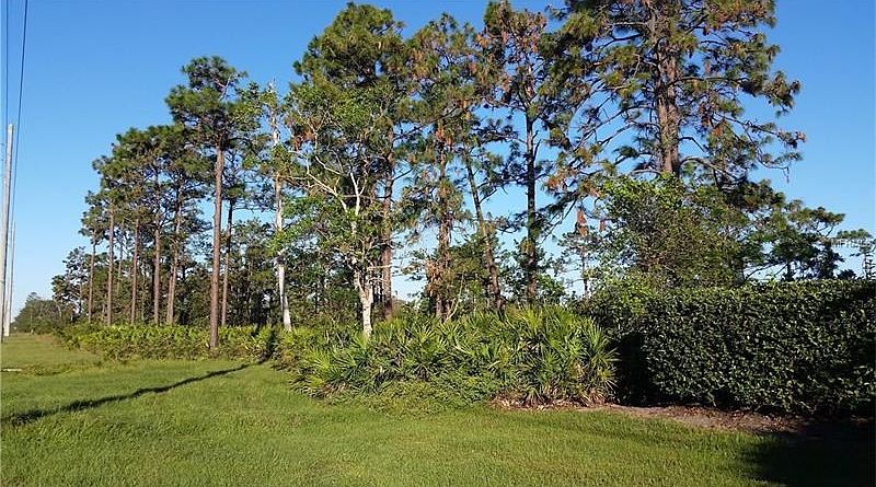 1st image of 3569 Cord Ave