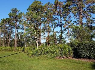 3569 Cord Ave, Saint Cloud, FL 34772