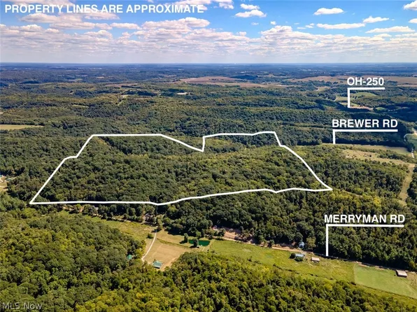 0 Brewer Rd, Cadiz, OH 43907