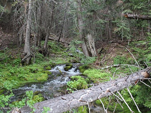 3rd image of 19A Daisy Gulch Rd