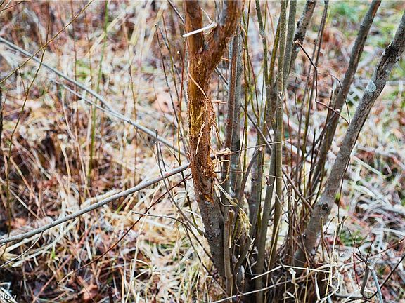 4th image of 6030 Atkinson Creek Rd SE