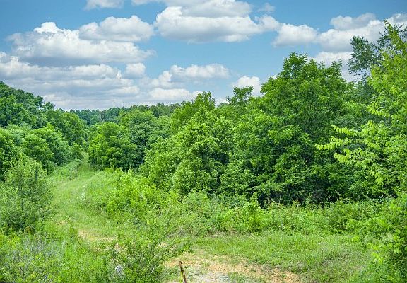 2nd image of 0 Center Point Acres N Lot 0