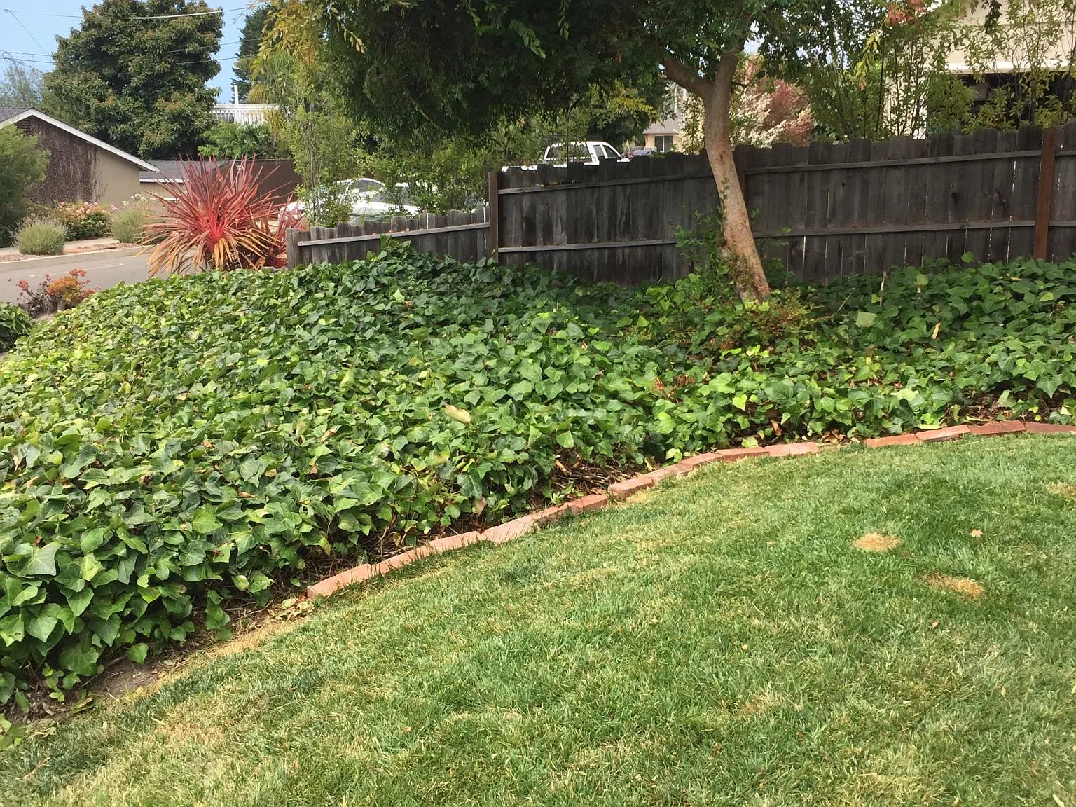 3 bed, 2.5 bath, 1500 sqft, $5,000 — Photo 4
