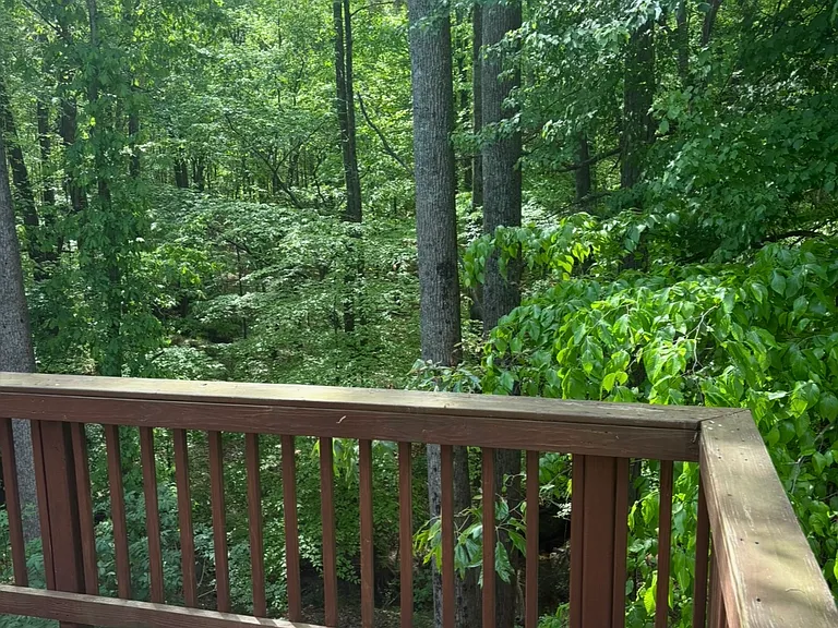650 Collingsworth Ln — Photo 21