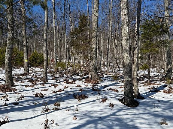 5th image of 1706 Mercer Rd