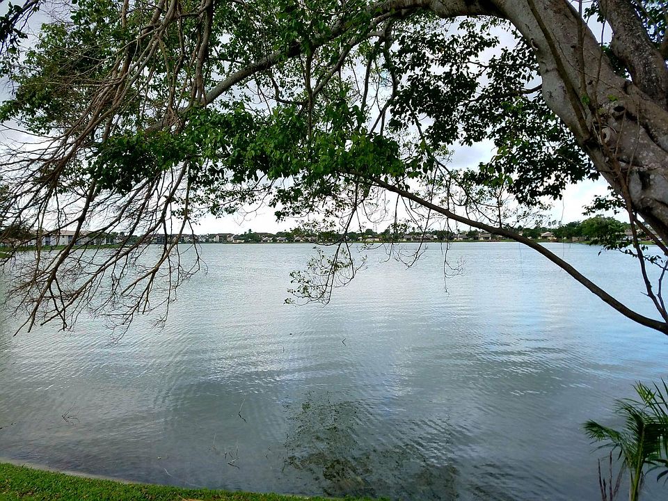 Lake view