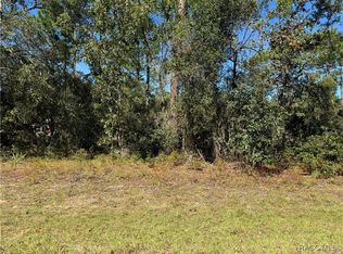 3671 W Galtonia Ln, Citrus Springs, FL 34433