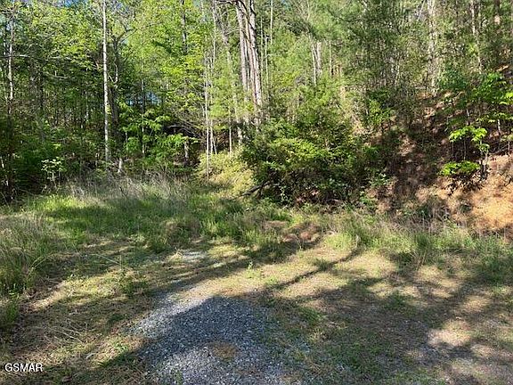 5th image of LOT 5 Dove View Rd