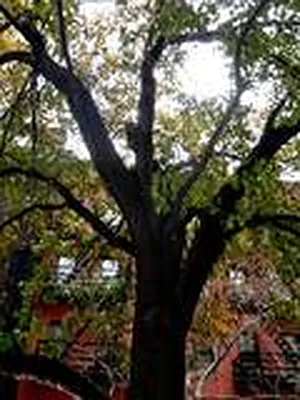 Rented by Prince Real Estate Associates LLC | media 34