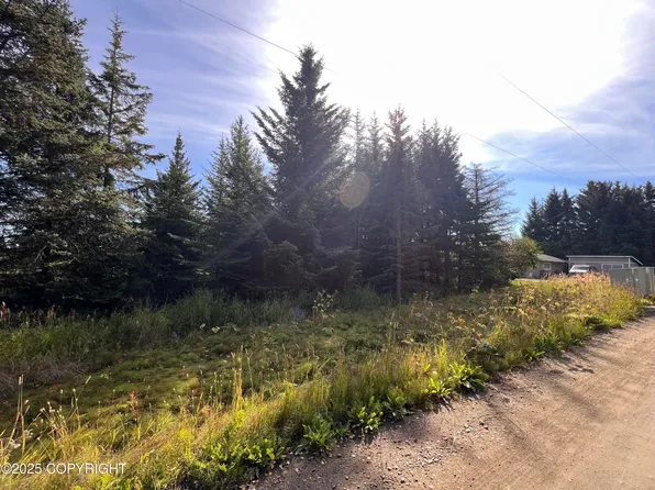 0 Lake St, Homer, AK 99603