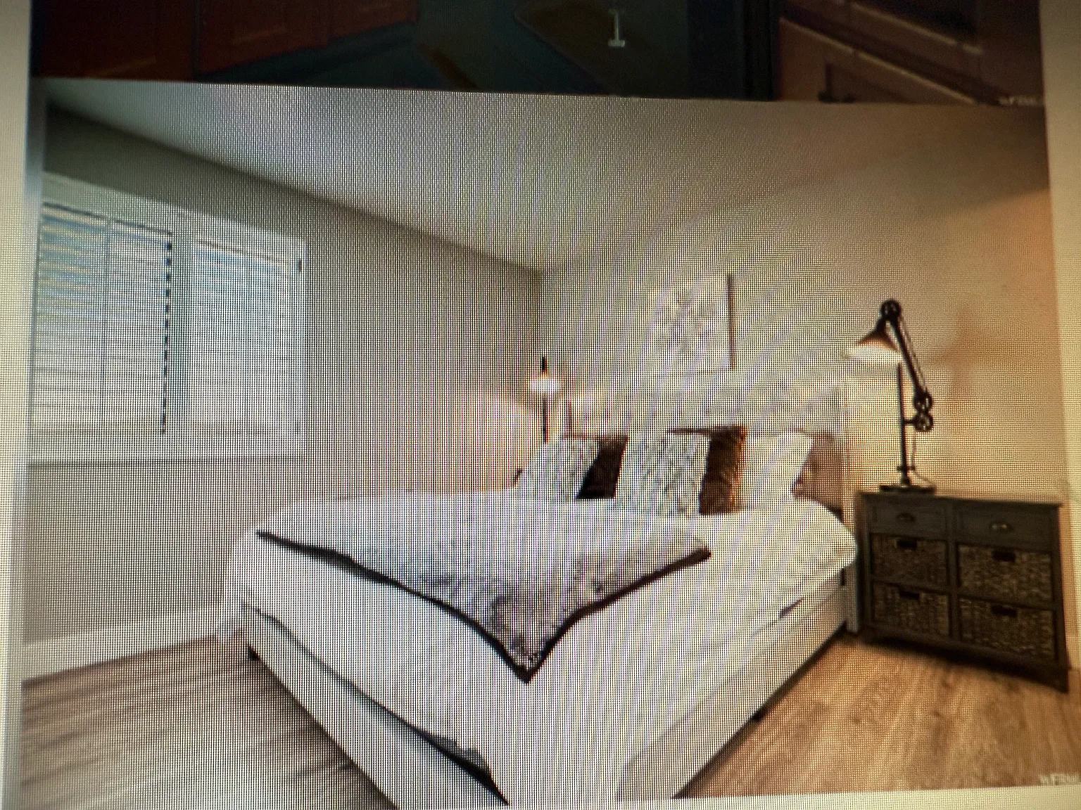 2 bed, 520 sqft, $2,550 — Photo 4