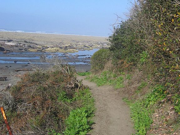Dirt hiking trails!