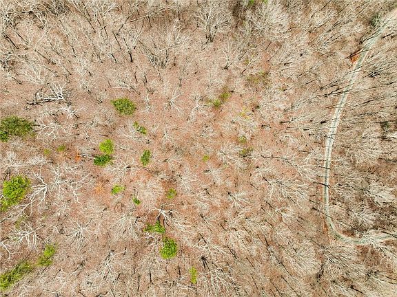 4th image of 8 Mount Mincie Rd