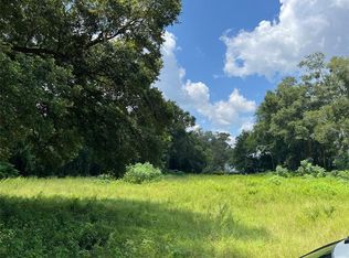 NW 250th St LOT 31, Newberry, FL 32669