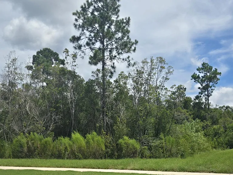 8703 Conch Shell Ct — Photo 6