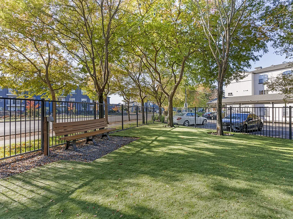 Our newly renovated dog park is now open, featuring fresh turf and plenty of space for your furry friends to play and socialize.