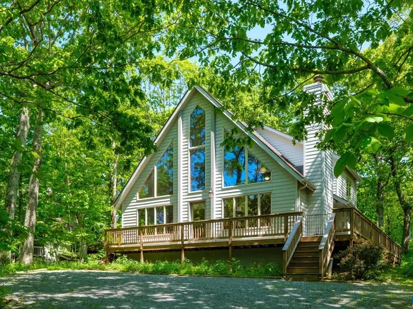 229 Devils Knob Loop, Loop, VA 22967